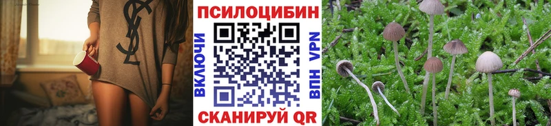 Купить  Урус-Мартан  Галлюциногенные грибы мухоморы 